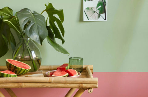Cricket Earthborn Paint