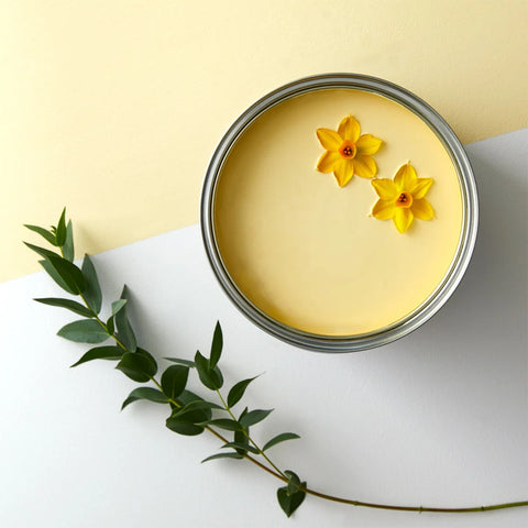 Jemima Earthborn Paint