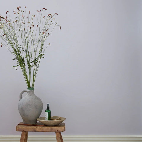 Lily Lily Rose Earthborn Paint