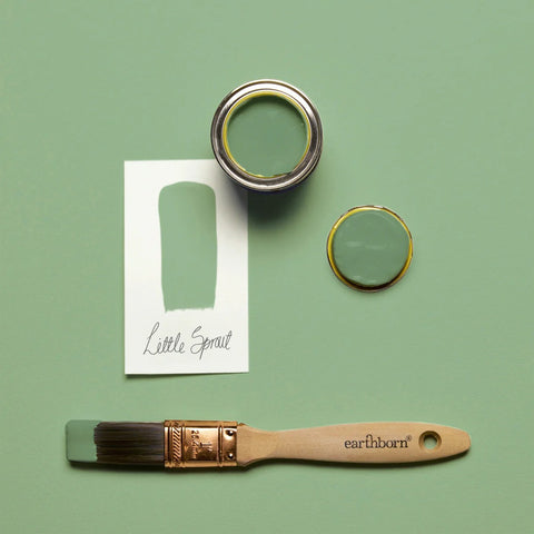 Little Sprout Earthborn Paint