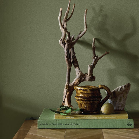 Oliver Twig Earthborn Paint