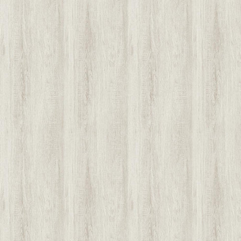 Veyrier Silver Birch wallpaper
